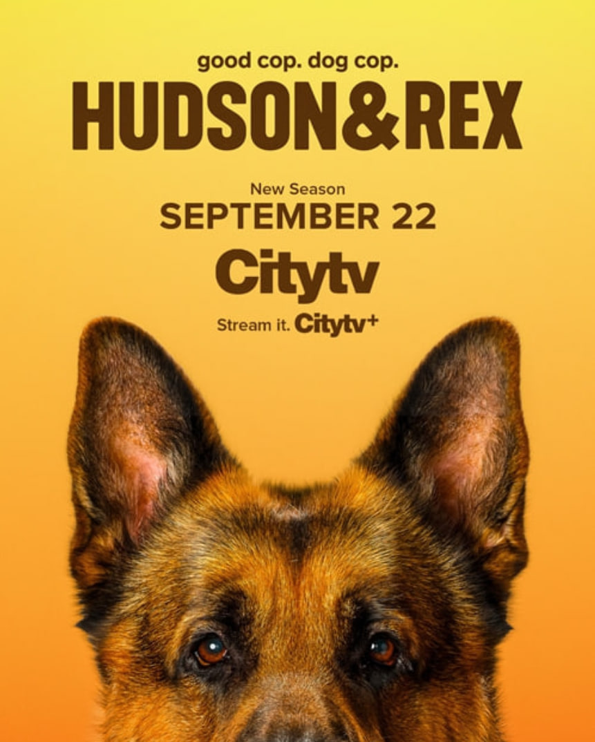 哈德森与雷克斯第八季