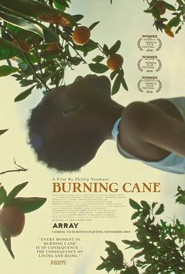 燃烧的甘蔗 Burning Cane