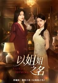 以姐姐之名
