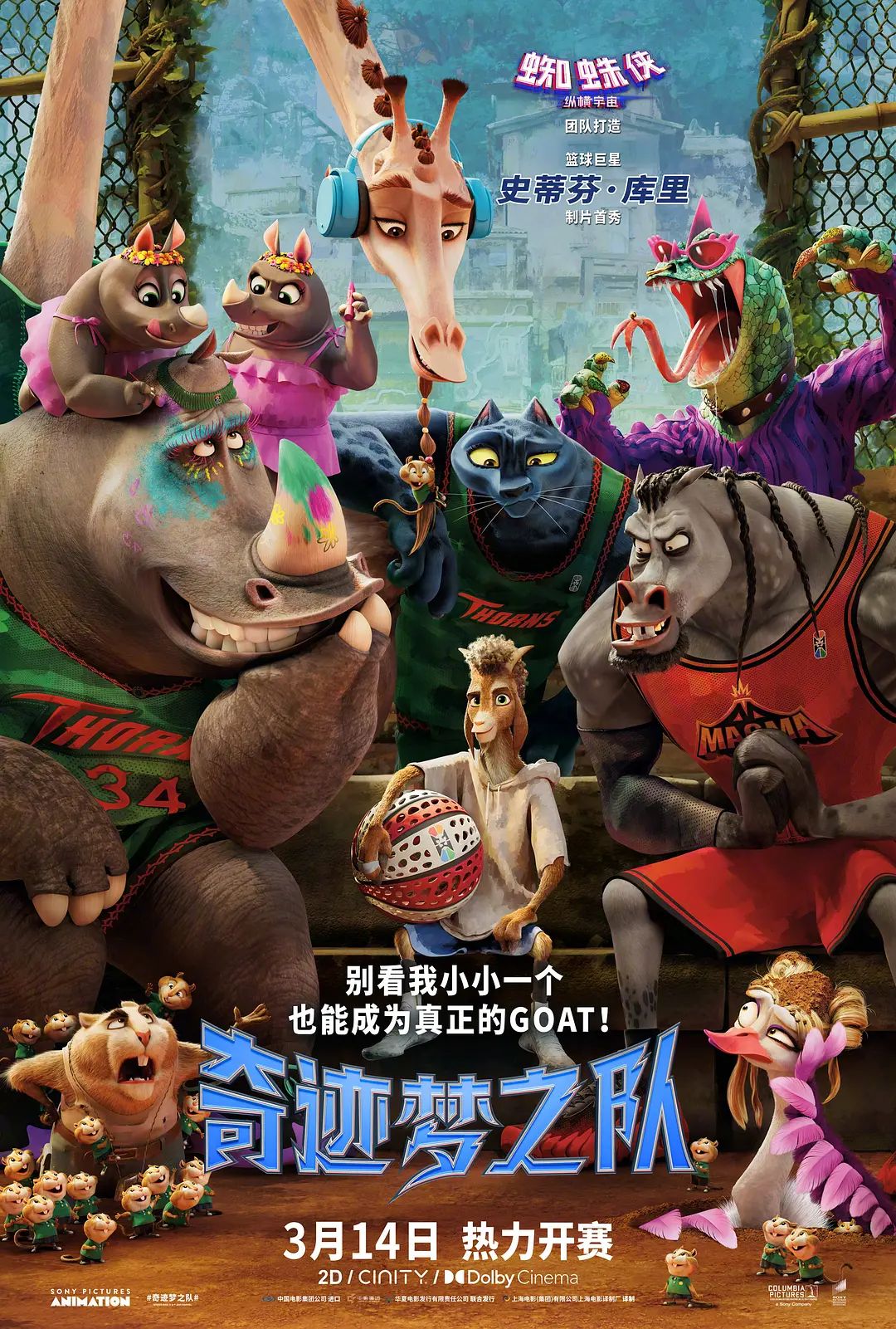 奇迹梦之队（）