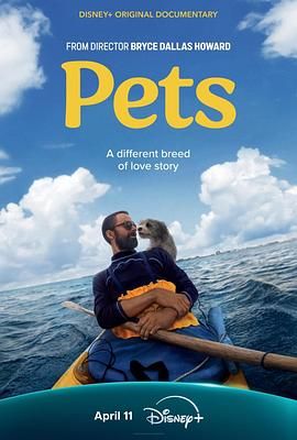 宠 Pets