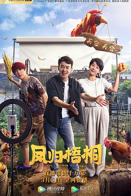 凤归梧桐（）