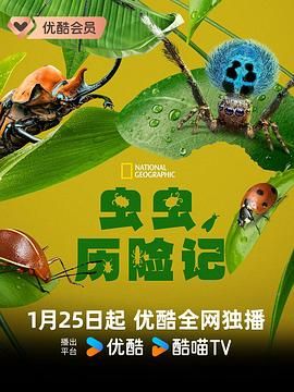 虫虫历险记第一季