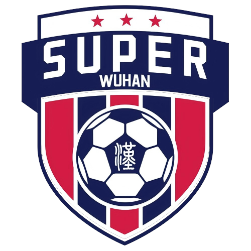 武汉城市足球超级联赛高校组 武汉城市职业学院0.2武汉大学20251109