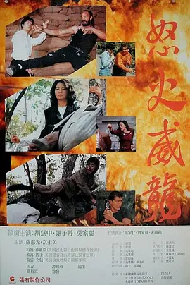 怒火威龙1992
