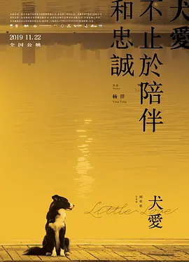 犬爱2019