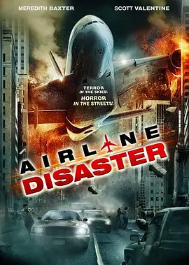 空难2010