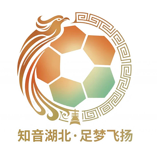 湖北省城市足球联赛 孝感孝傲江湖队VS随州炎炎队20260613