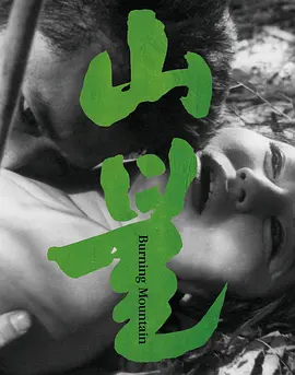 山火1967[电影解说]