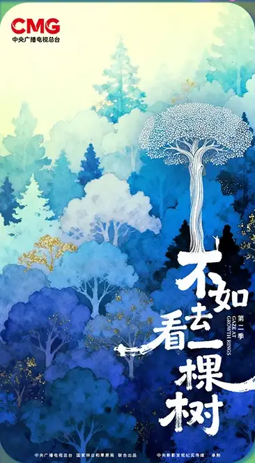 不如去看一棵树第三季